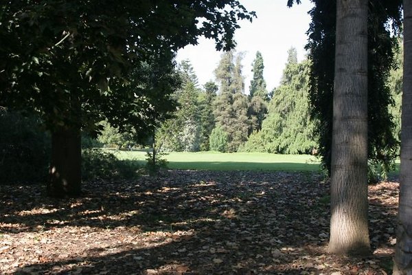 Australian08-0911 8032 100