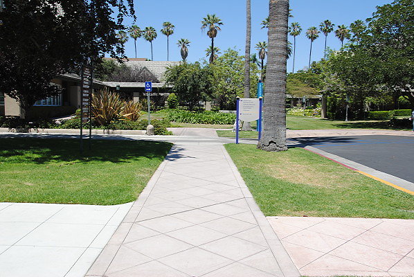DSC 0084