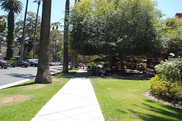 DSC 0083