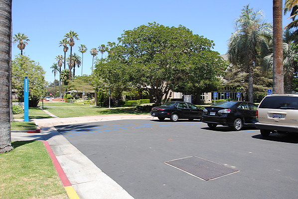 DSC 0064