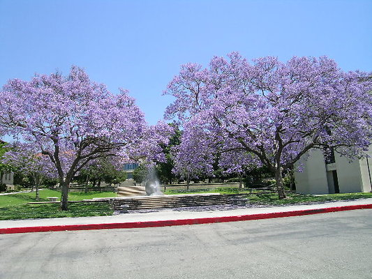 zDSCN7969