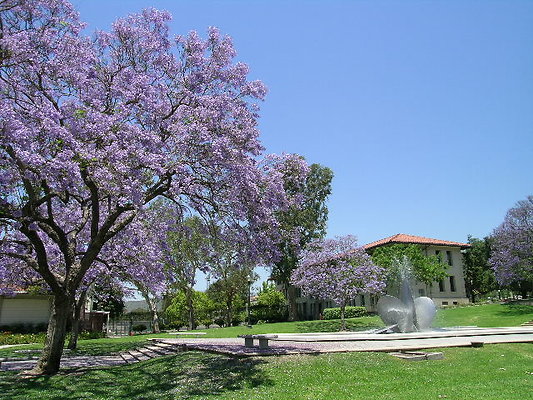 zDSCN7970