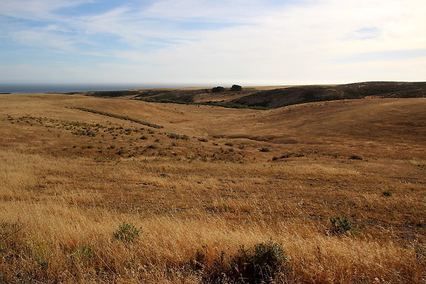 Cojo Ranch-SBCO-139