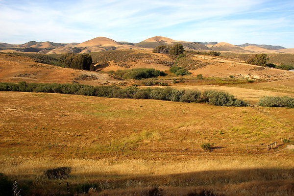 Cojo Ranch-SBCO-167