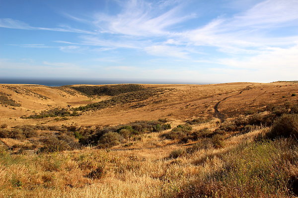 Cojo Ranch-SBCO-150