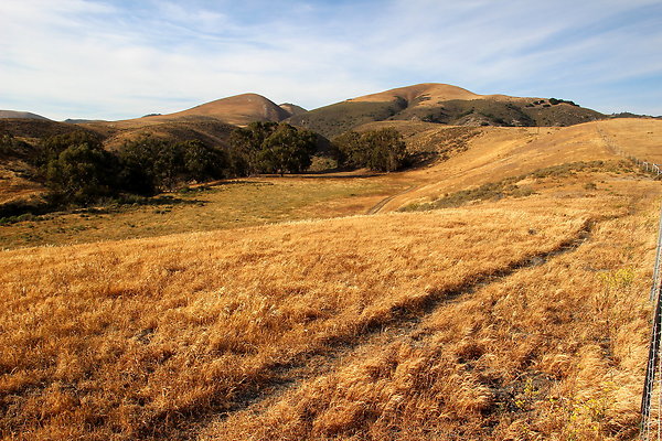 Cojo Ranch-SBCO-155