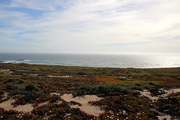 Cojo Ranch-SBCO-075