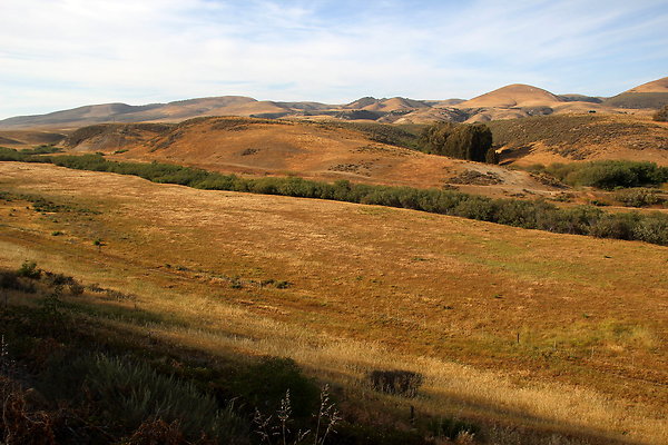 Cojo Ranch-SBCO-166