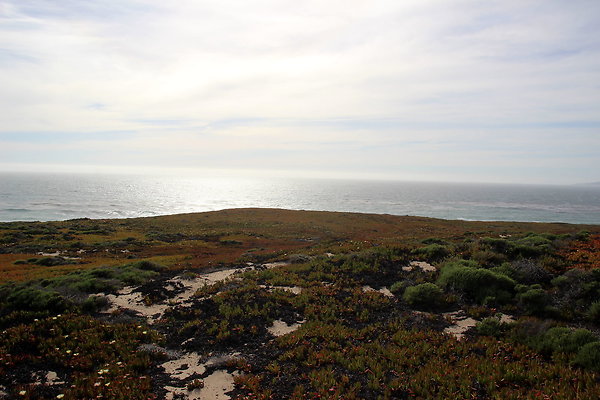 Cojo Ranch-SBCO-076