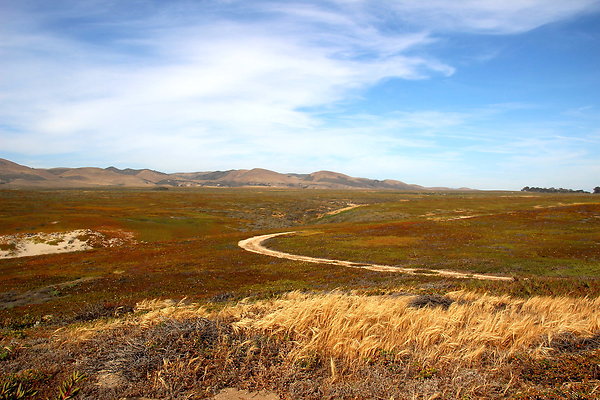 Cojo Ranch-SBCO-091