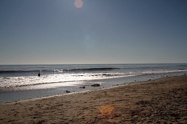 IMG 0063