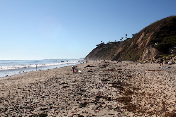 IMG 0062