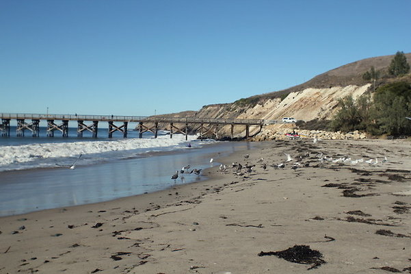 IMG 9618