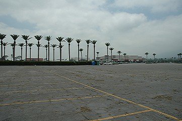 116