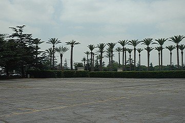 110