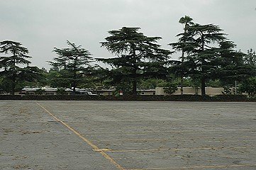 121