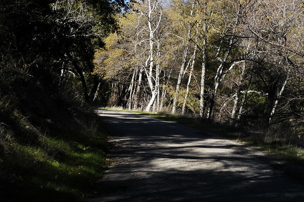 Happy Canyon Rd NB 0392