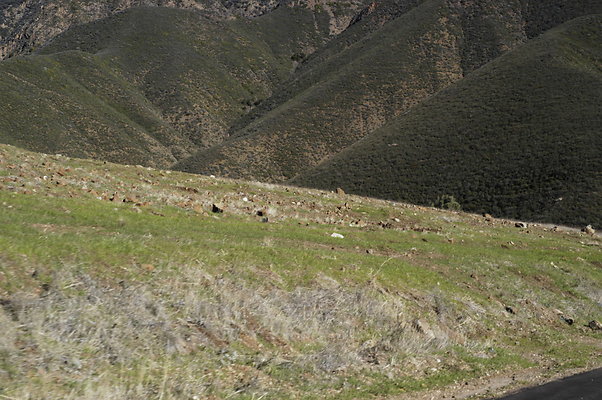 Happy Canyon Rd NB 0386