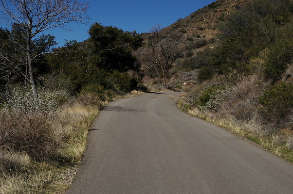 Happy Canyon Rd NB 0400