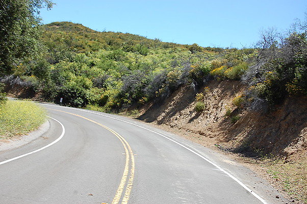 DSC 0642