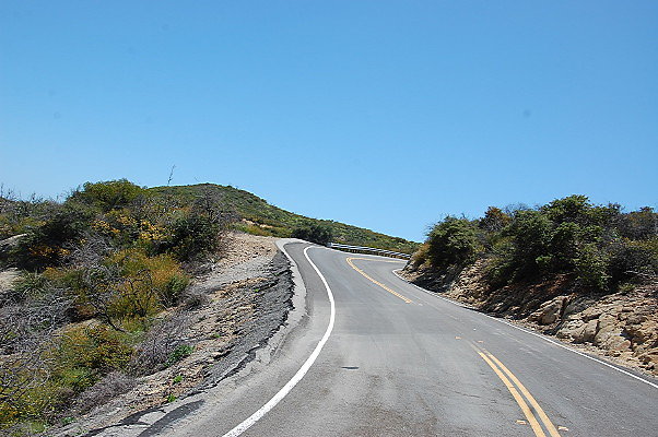 DSC 0631