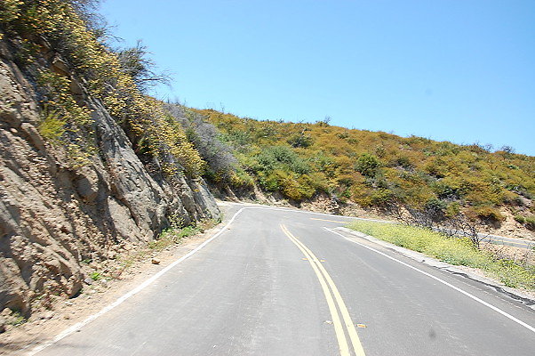 DSC 0597