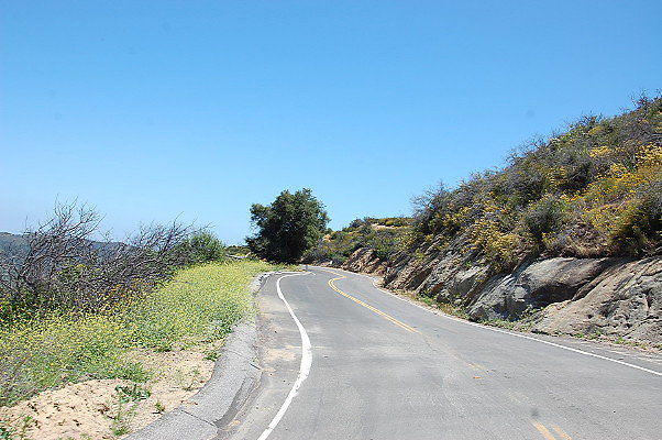 DSC 0634