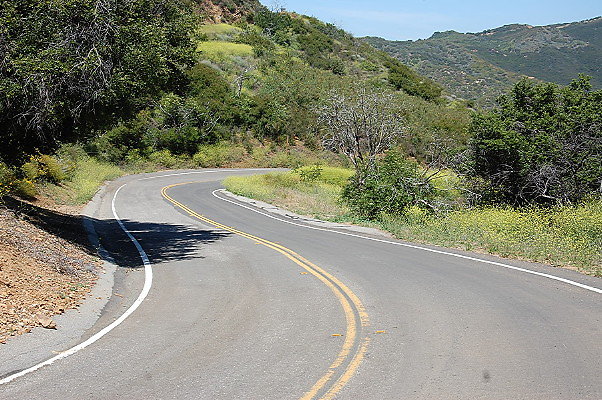 DSC 0655