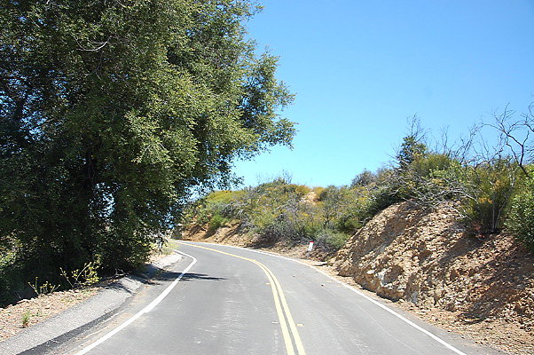 DSC 0635