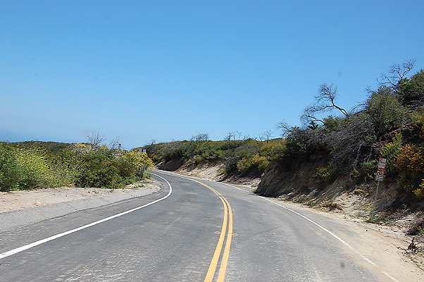 DSC 0626