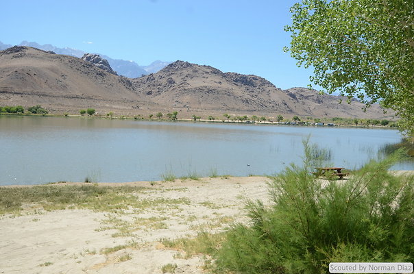 DND 9517