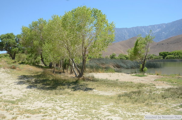 DND 9473