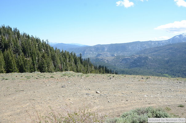 DND 9553