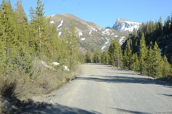 DND 2546