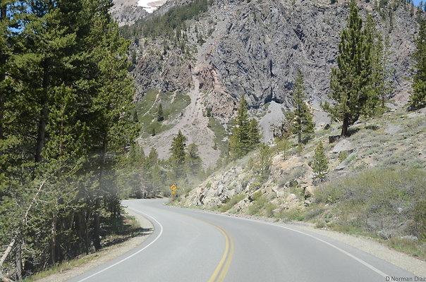 DND 0372