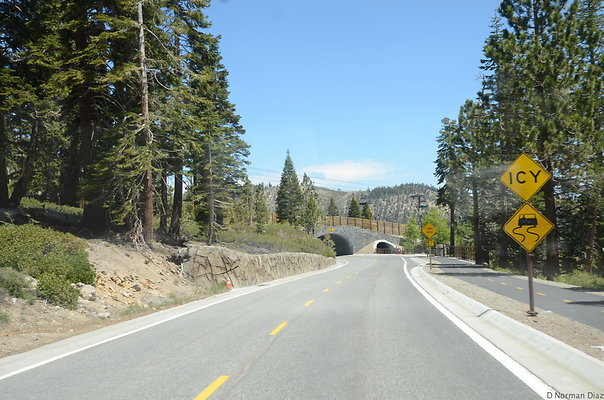 DND 0401