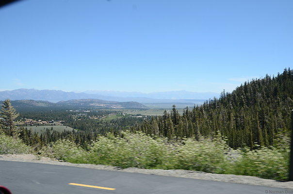 DND 0388