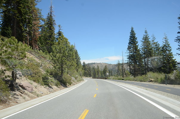 DND 0397