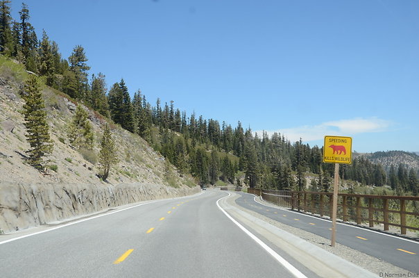 DND 0384