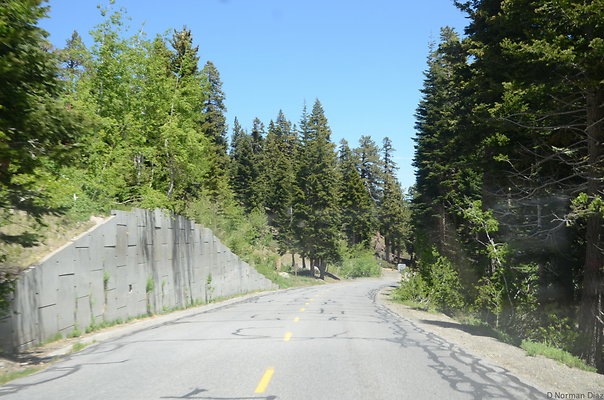 DND 0410