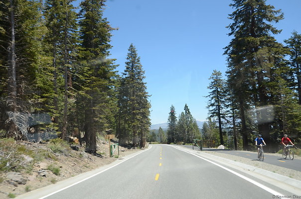 DND 0396