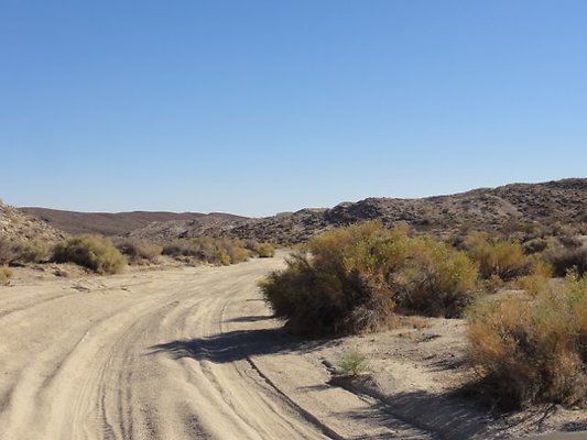 DSC09504