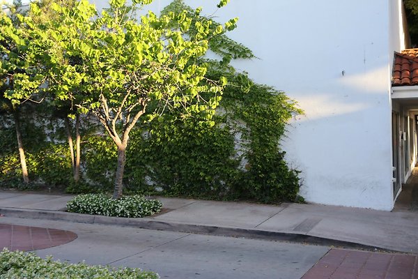 159.Streets.Whittier.Downtown