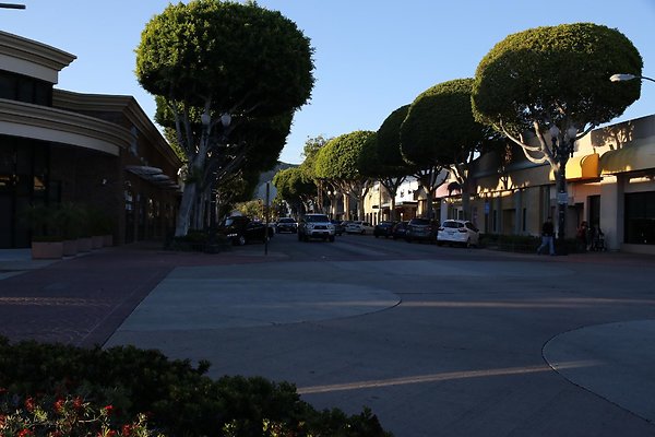 217.Streets.Whittier.Downtown