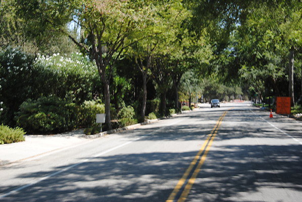 DSC 0395