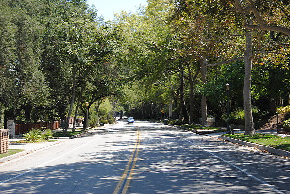 DSC 0390