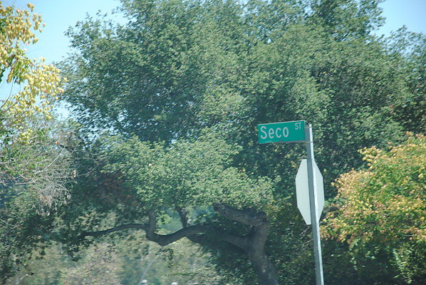 DSC 0397
