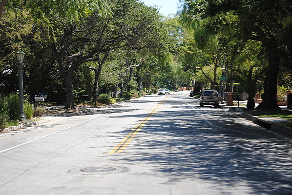 DSC 0387