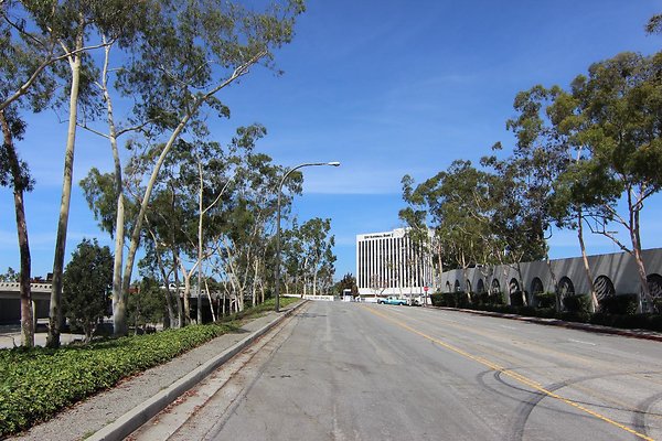 32.Steet.SW.Ocean.Blvd.South-Bridge