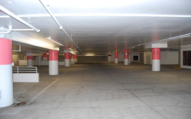 DSC 0007